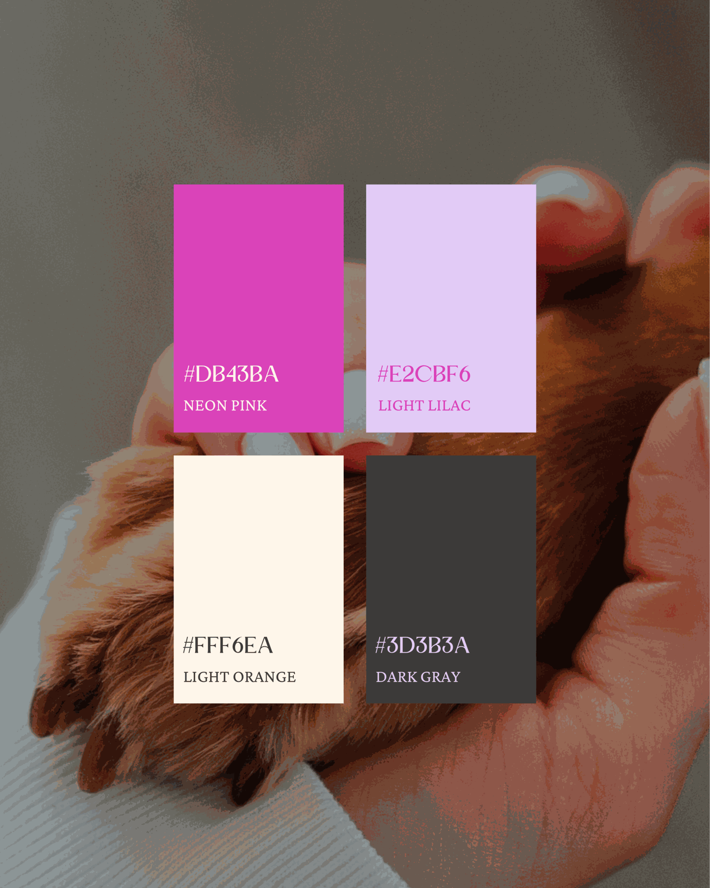 Bella's Bubbles brand colour palette